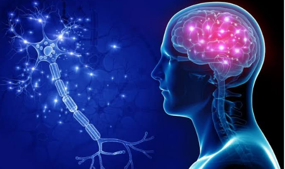 Neurology