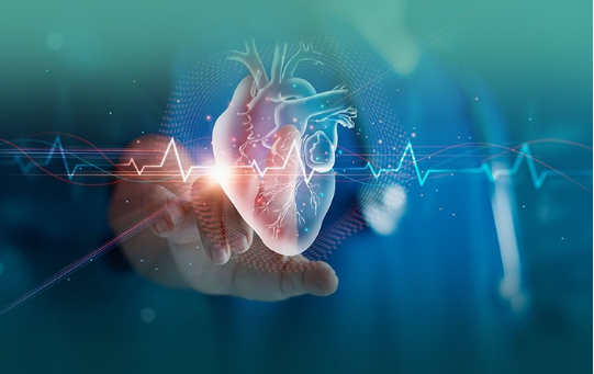 Cardiology
